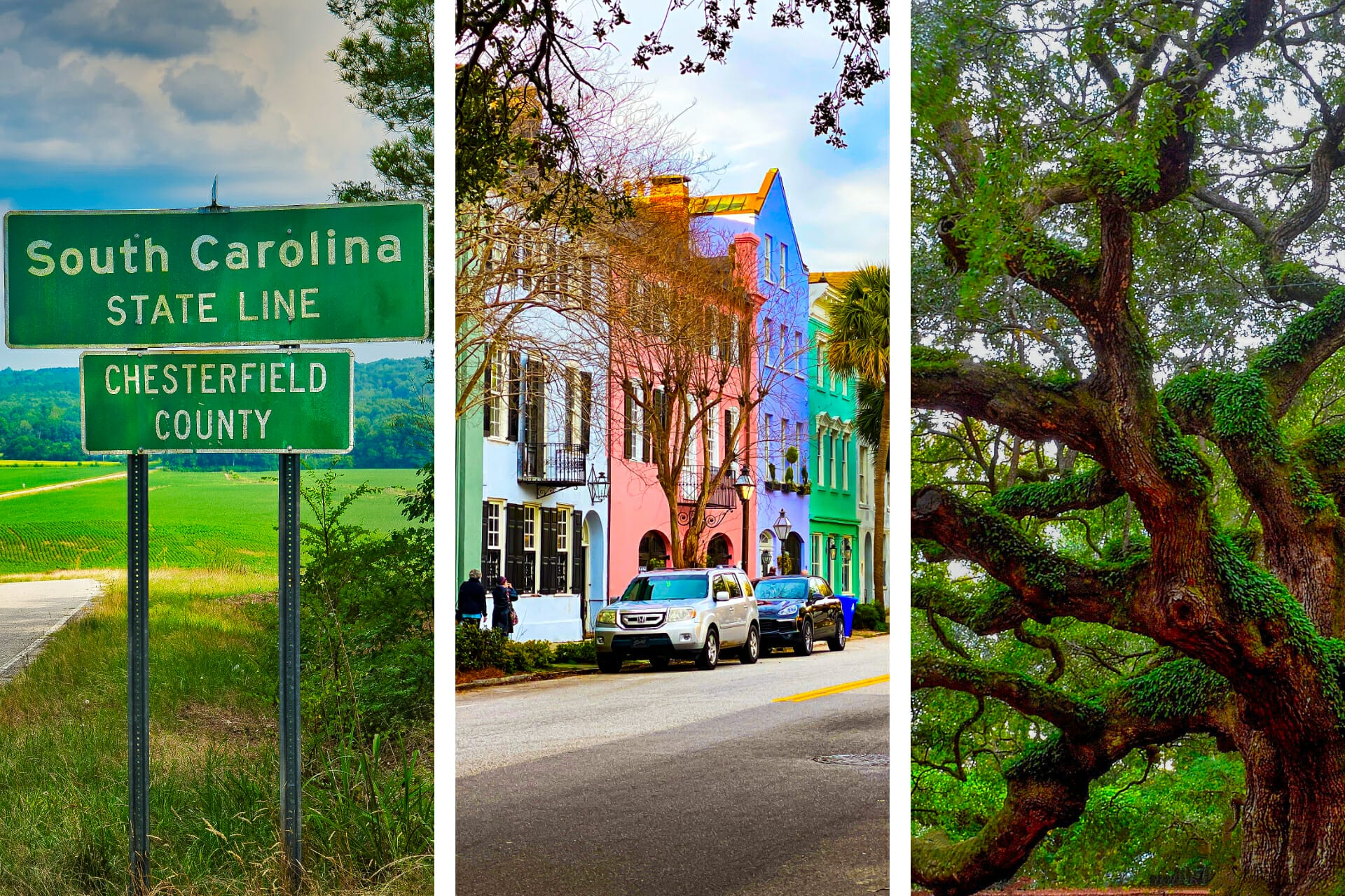 Amazing Things South Carolina Is Known For Famous For