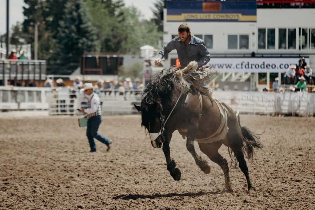 A man riding a horse at a rodeo at the Cheyenne Frontier Days event