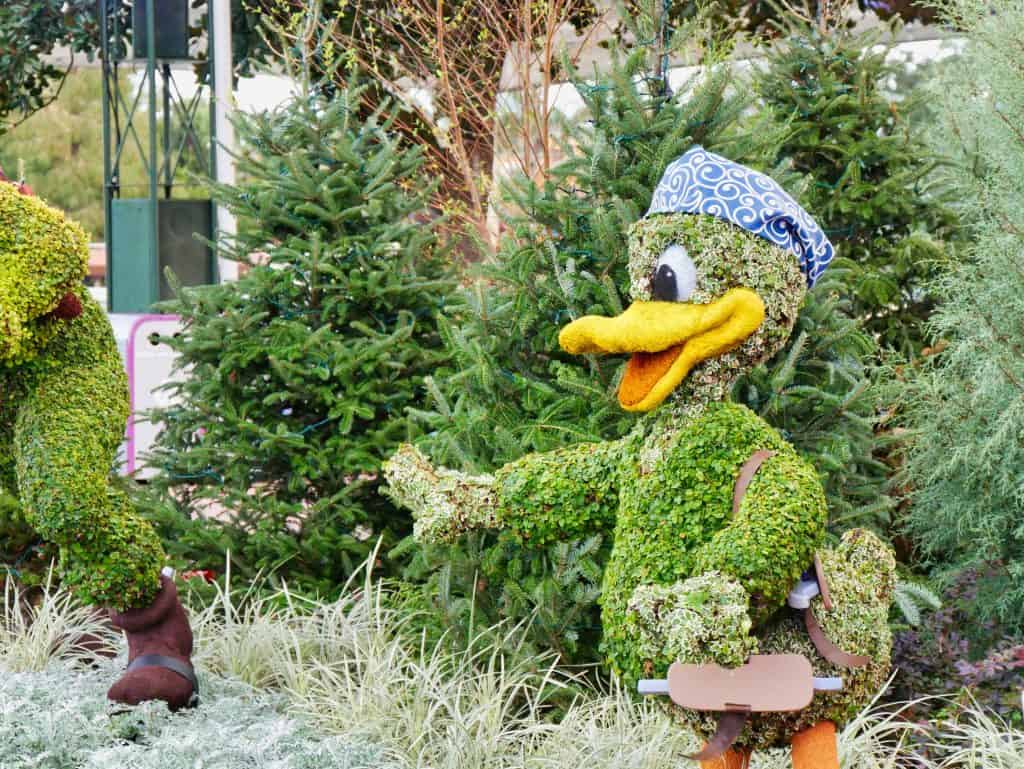 Donald Duck made from a bush with a hat on at Christmas at Epcot