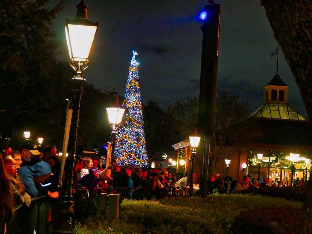 Christmas tree at night at Epcot, Disney World