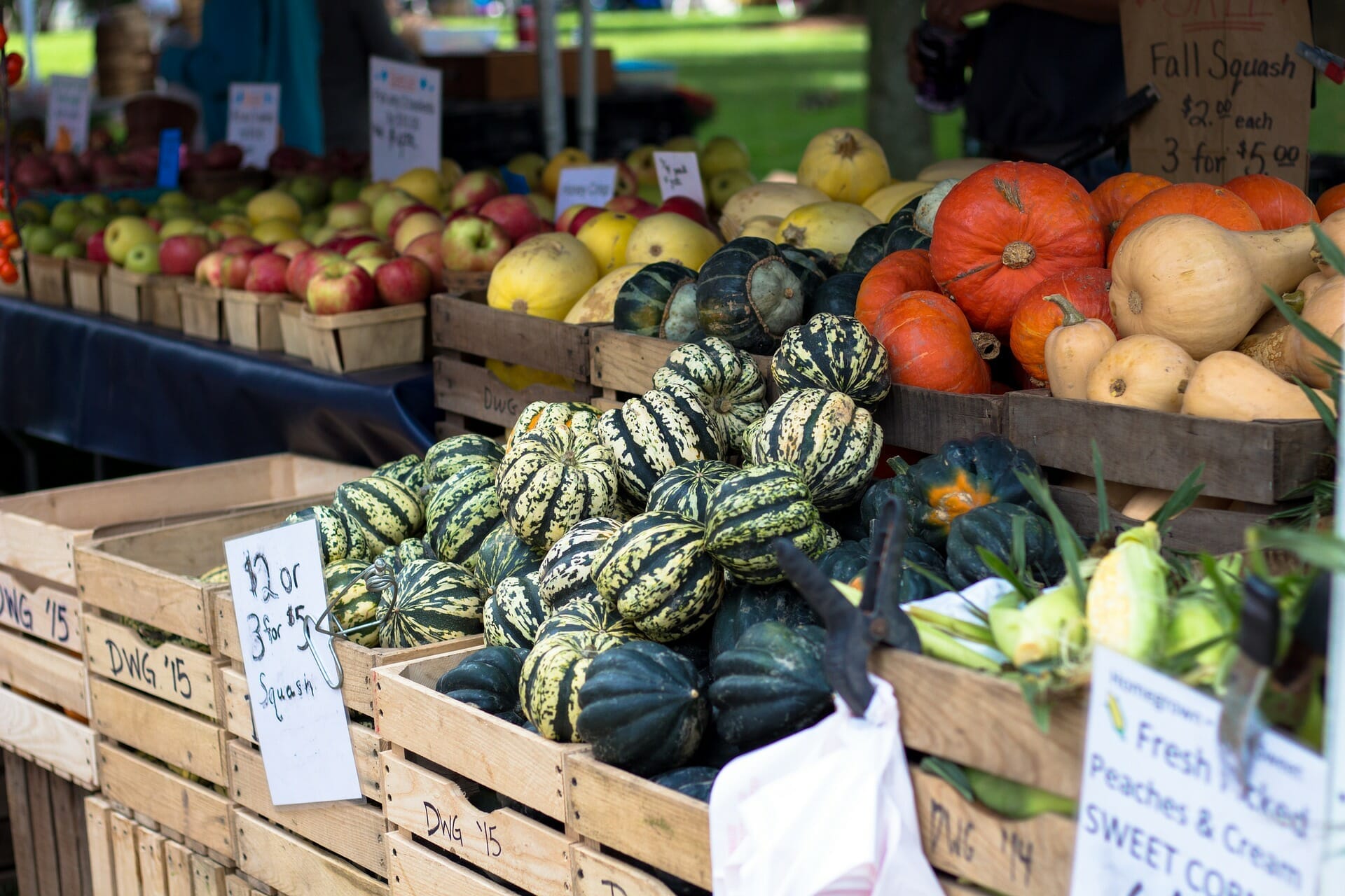 Farmers Market things to do in Tuscaloosa Alabama vegetables on display