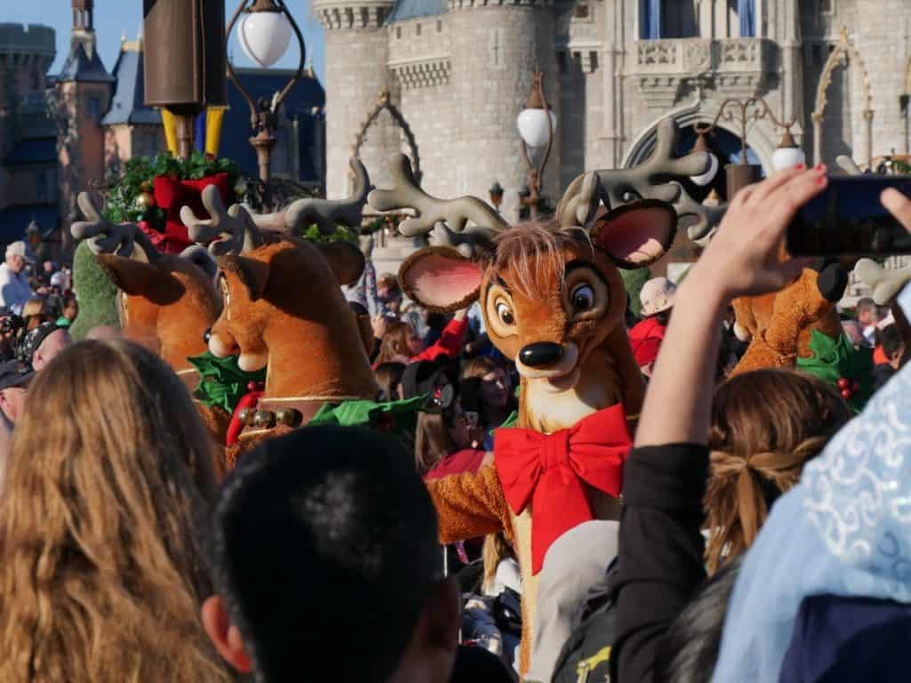 A reindeer at the Magic Kingdom in Disney World at Christmas