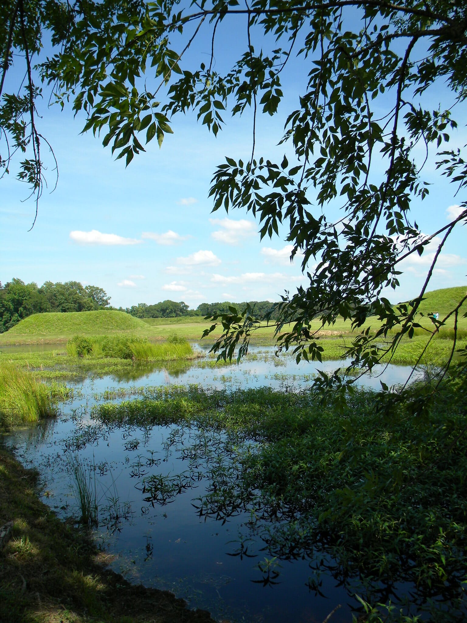 Moundville Archaeological Park Tuscaloosa Alabama greenery with river