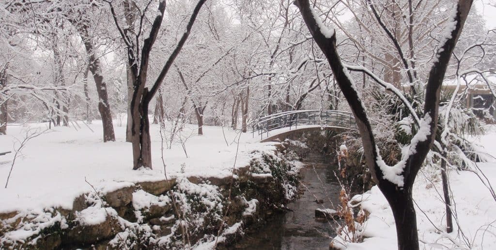 Snow covered Fort Worth Botanic Gardens in Fort Worth, Texas