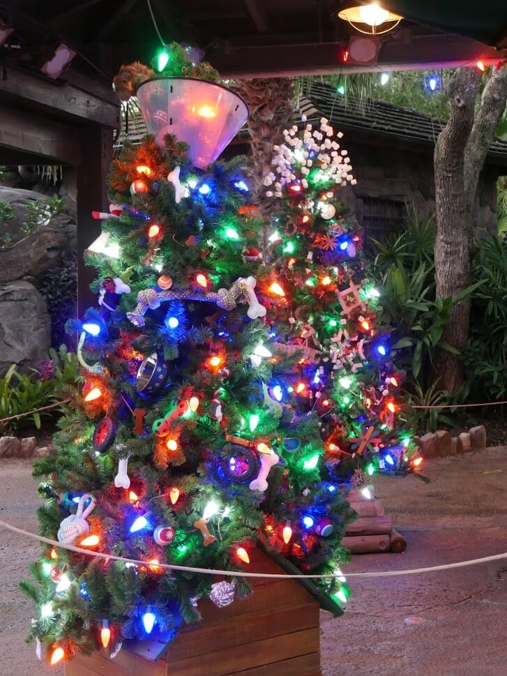 Some small Christmas trees lit up at Animal Kingdom