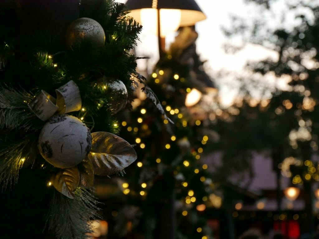 Decorations at Disney World's Animal Kingdom at Christmas