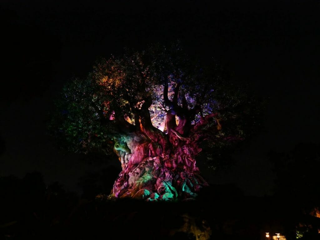 Tree of Life with projections at night