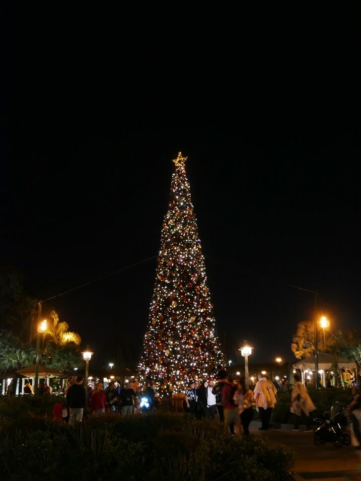 Christmas tree at Animal Kingdom lit up at night