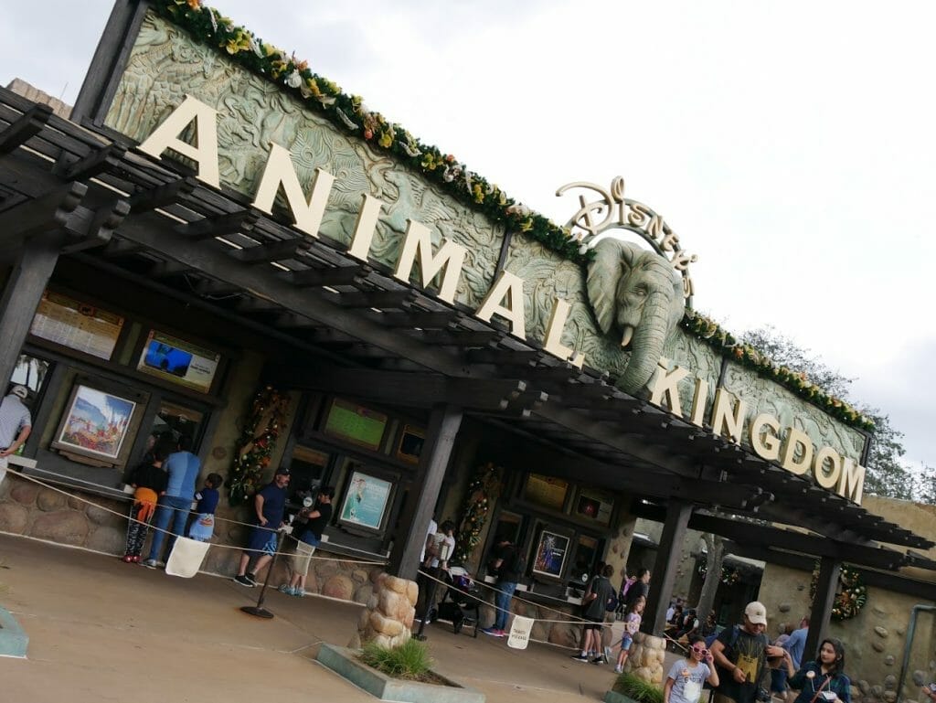 Animal Kingdom entrance