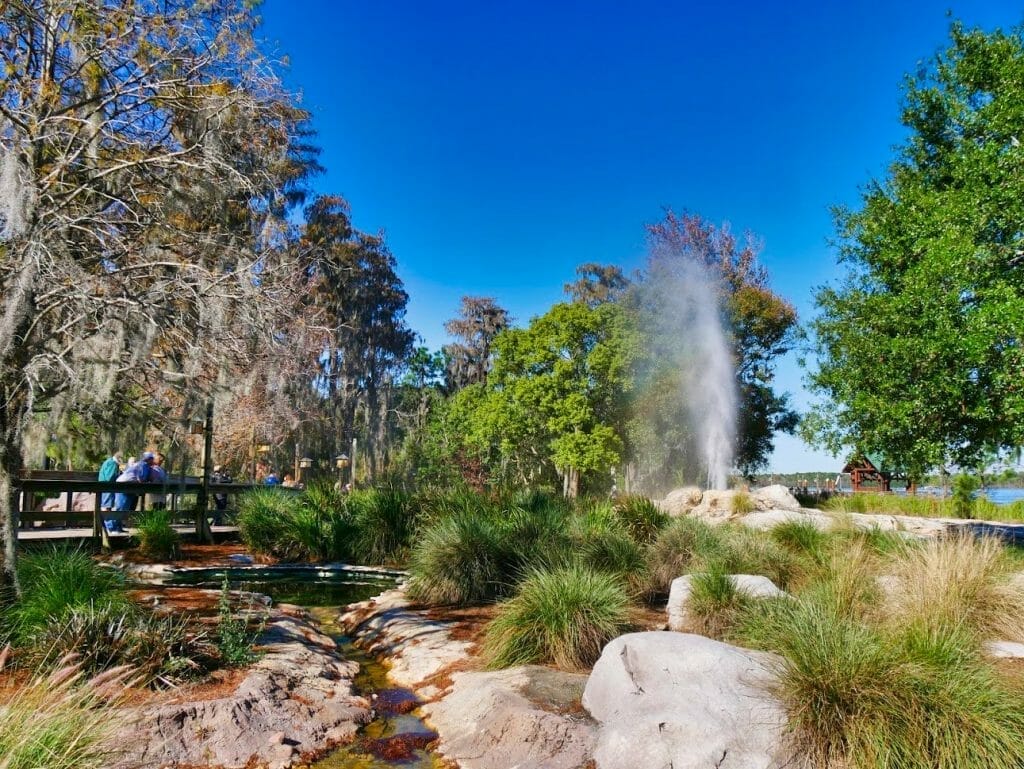 A geyser spraying water at Wilderness Lodge