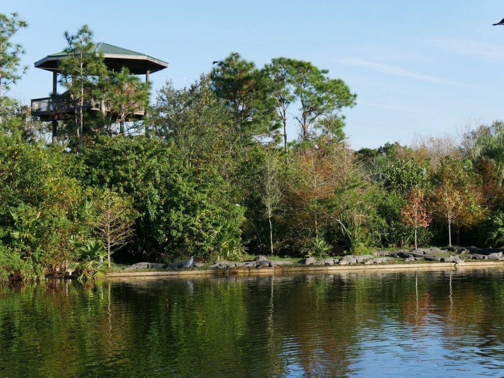 A lake with a zipline tower in the background