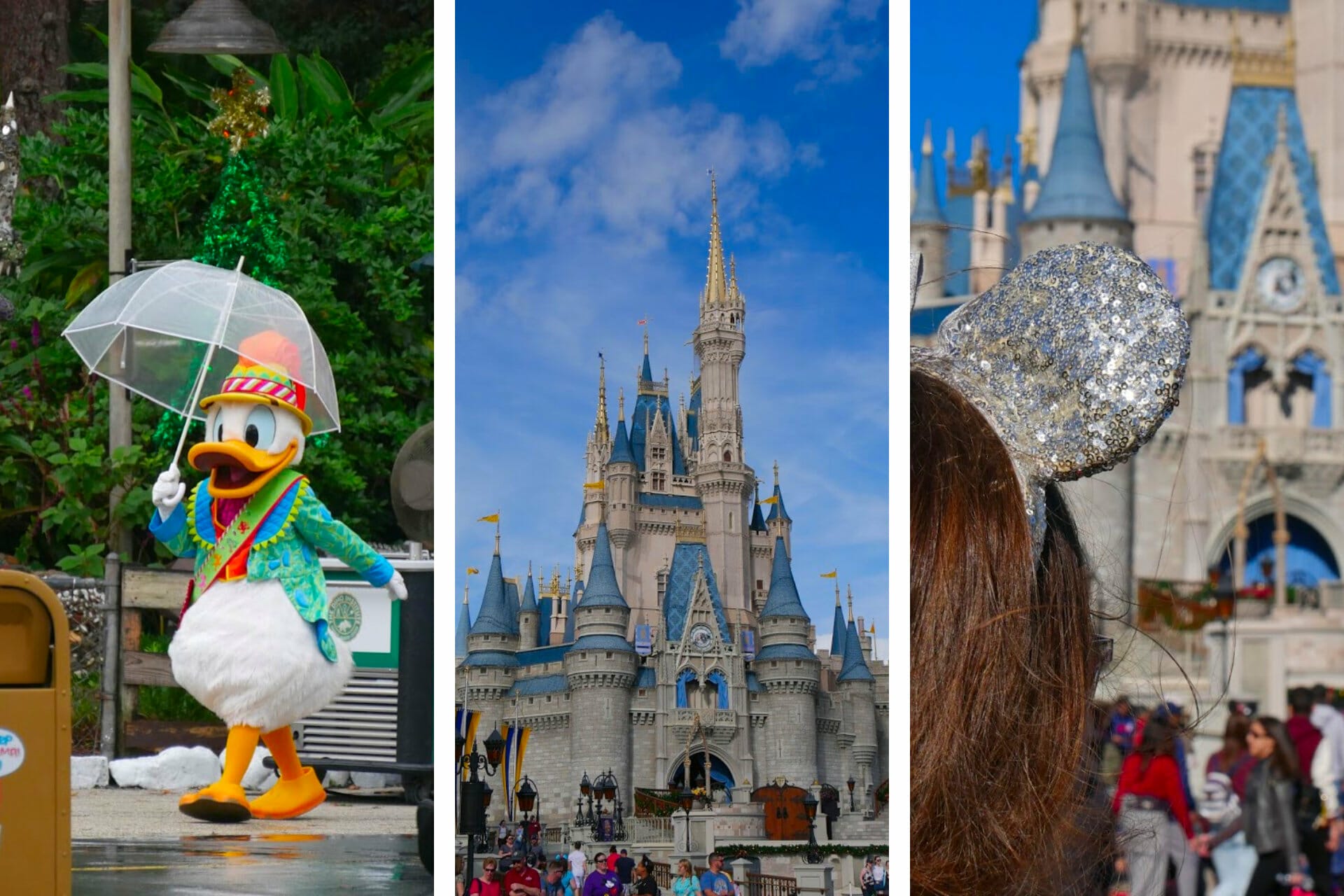 Going to Disney World Alone: Ultimate Solo Trip to Disney Guide (2021) via @allamericanatlas