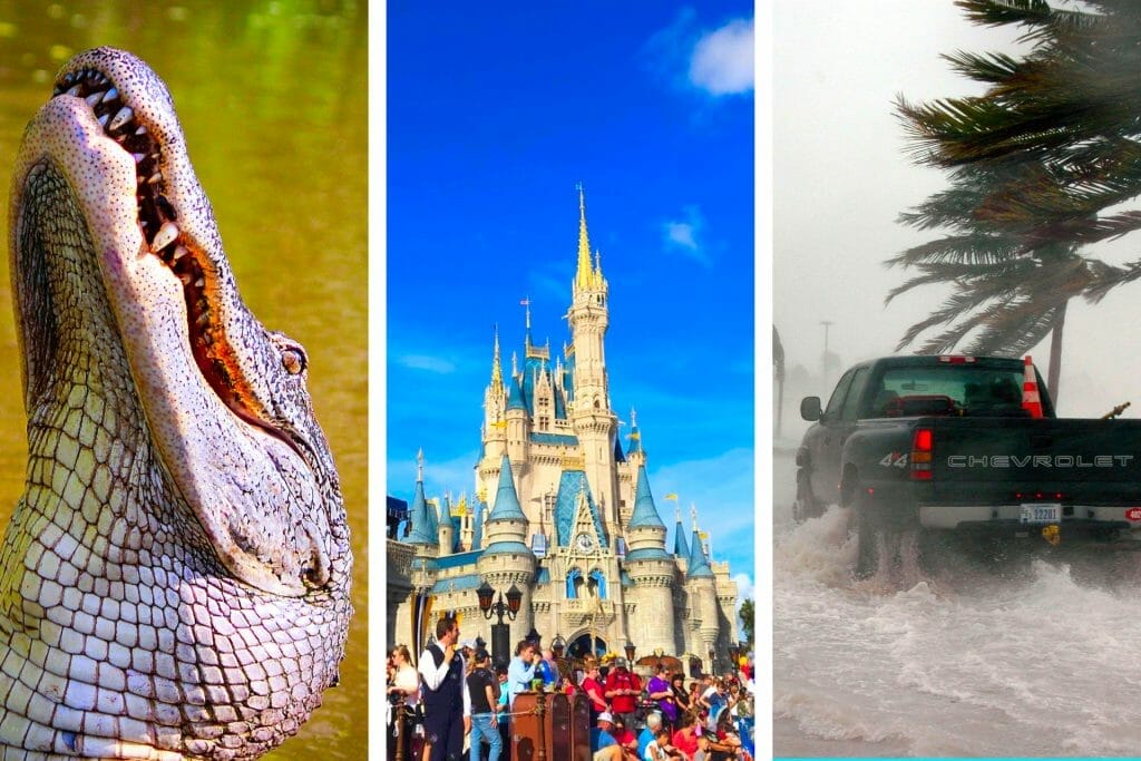 Signs You Live or Grew Up in Florida