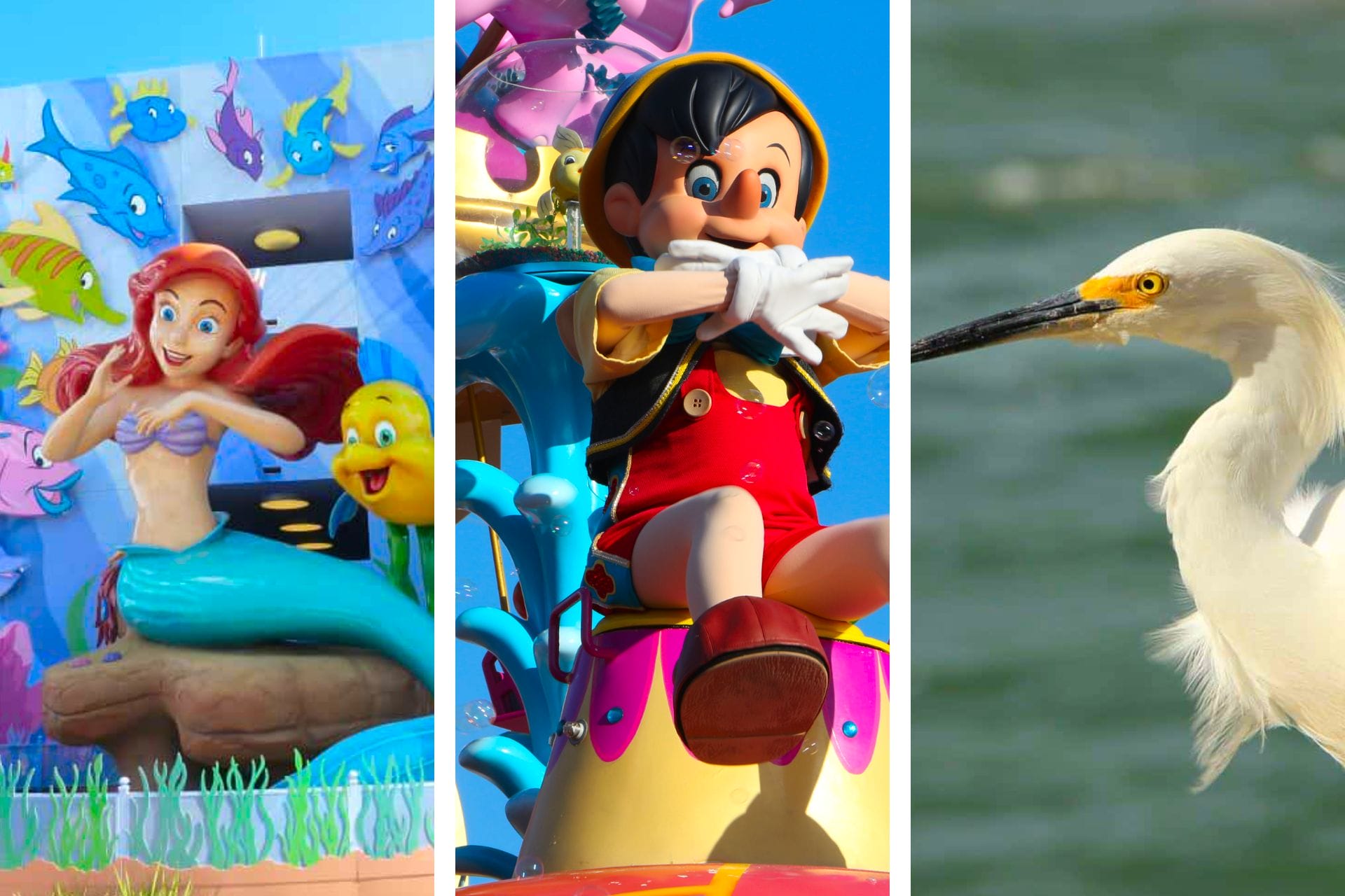 15+ Fun Things to Do in Orlando with Toddlers (2021) via @allamericanatlas