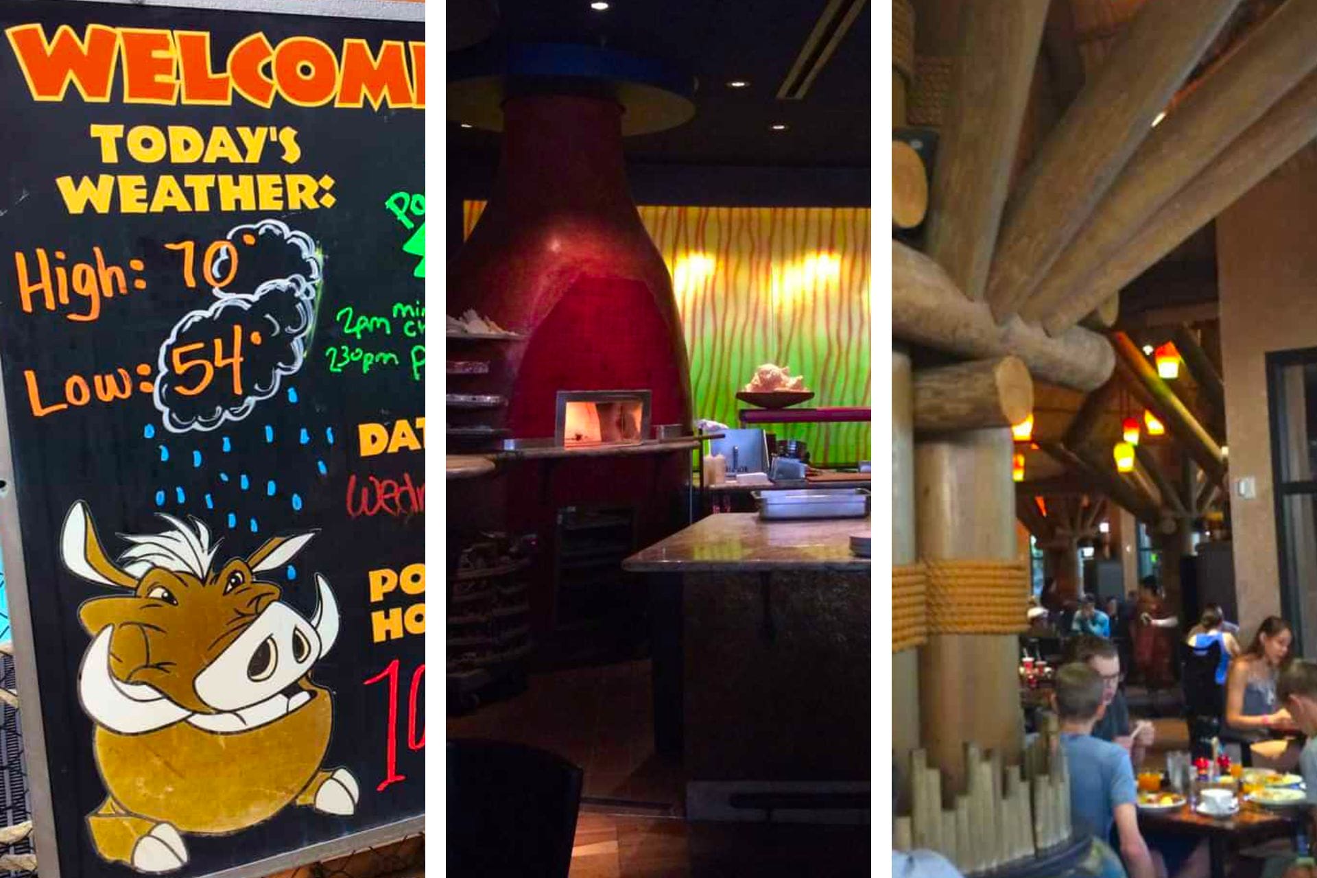 ディズニーのアニマルキングダムロッジ（2024）でやるべき21+魔法のこと