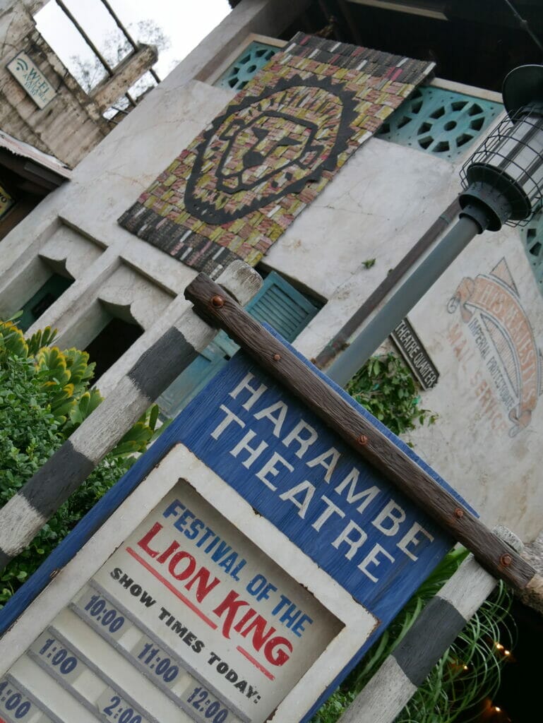 lion-king-theater-at-animal-kingdom