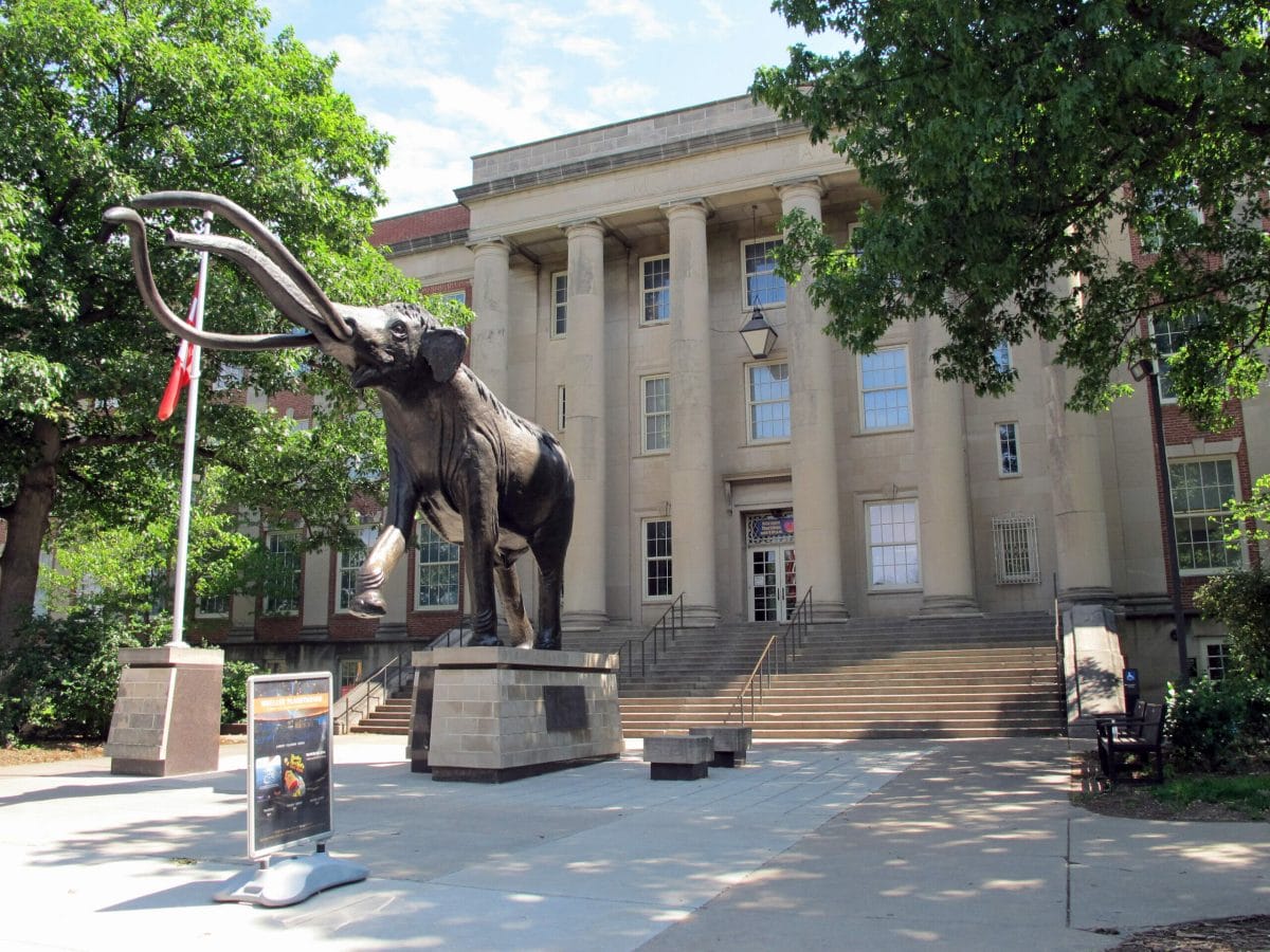 Exterior of the University of Nebraska State Museum, with a mammoth sculpture in front of it.