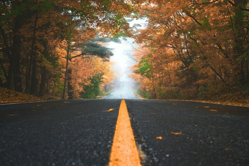 An open road with no traffic, going through a colorful forest