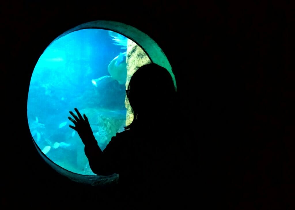 girl-looking-at-aquarium