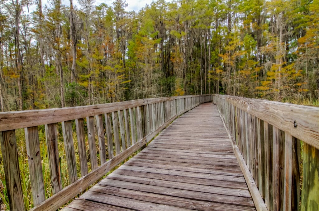 A wooden bridge at the Tibet-Butler Nature Preserve near Orlando Florida