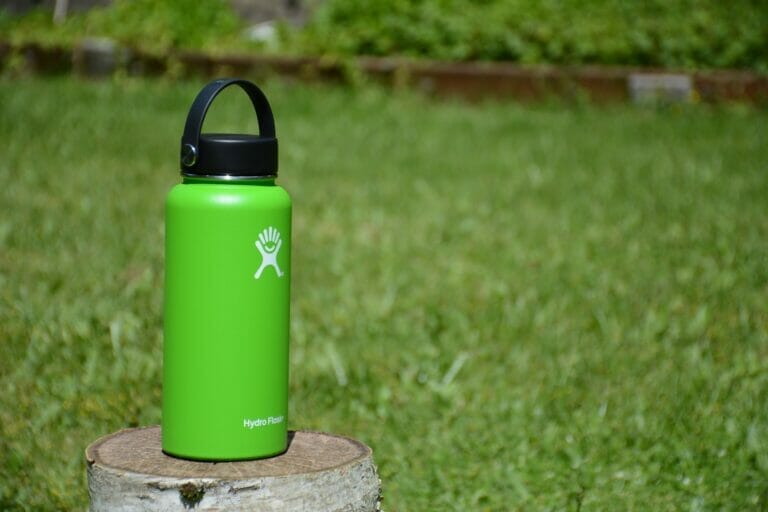 2023 Guide to the Best Water Bottles for Disney World (honest)