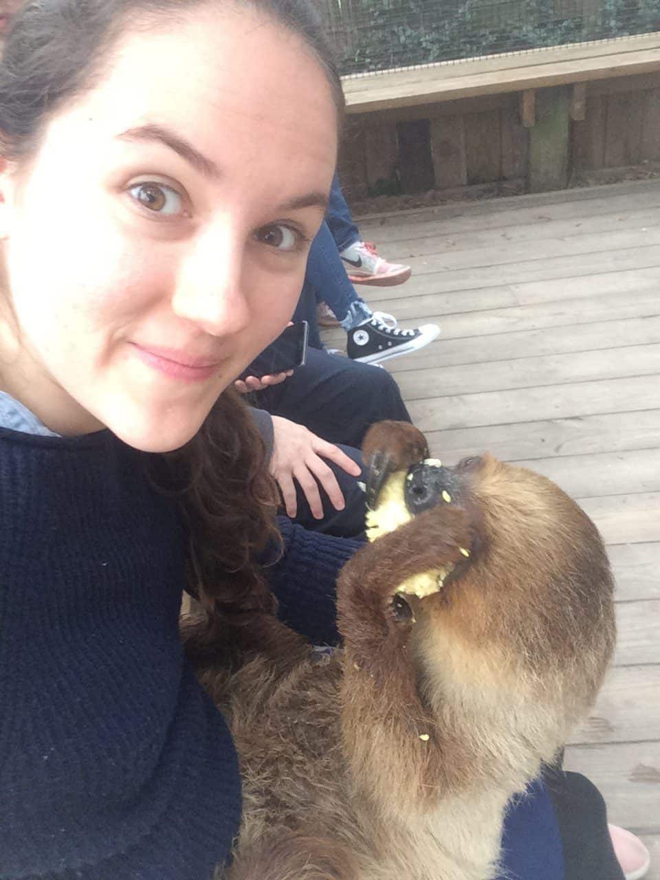 Wild Florida VIP Sloth Experience Review (+ Adorable Pics!)