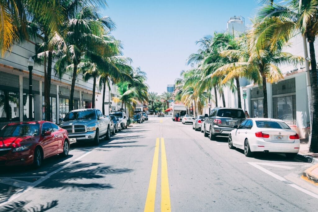 street in Florida in winter with palm trees