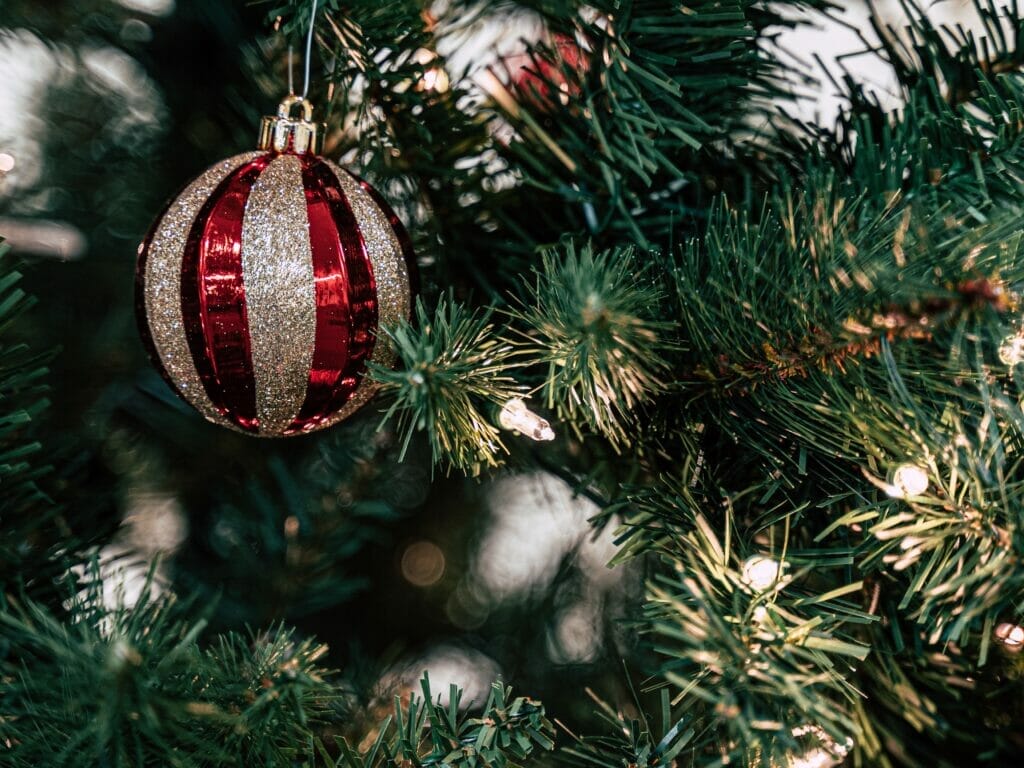 christmas ornament in a tree