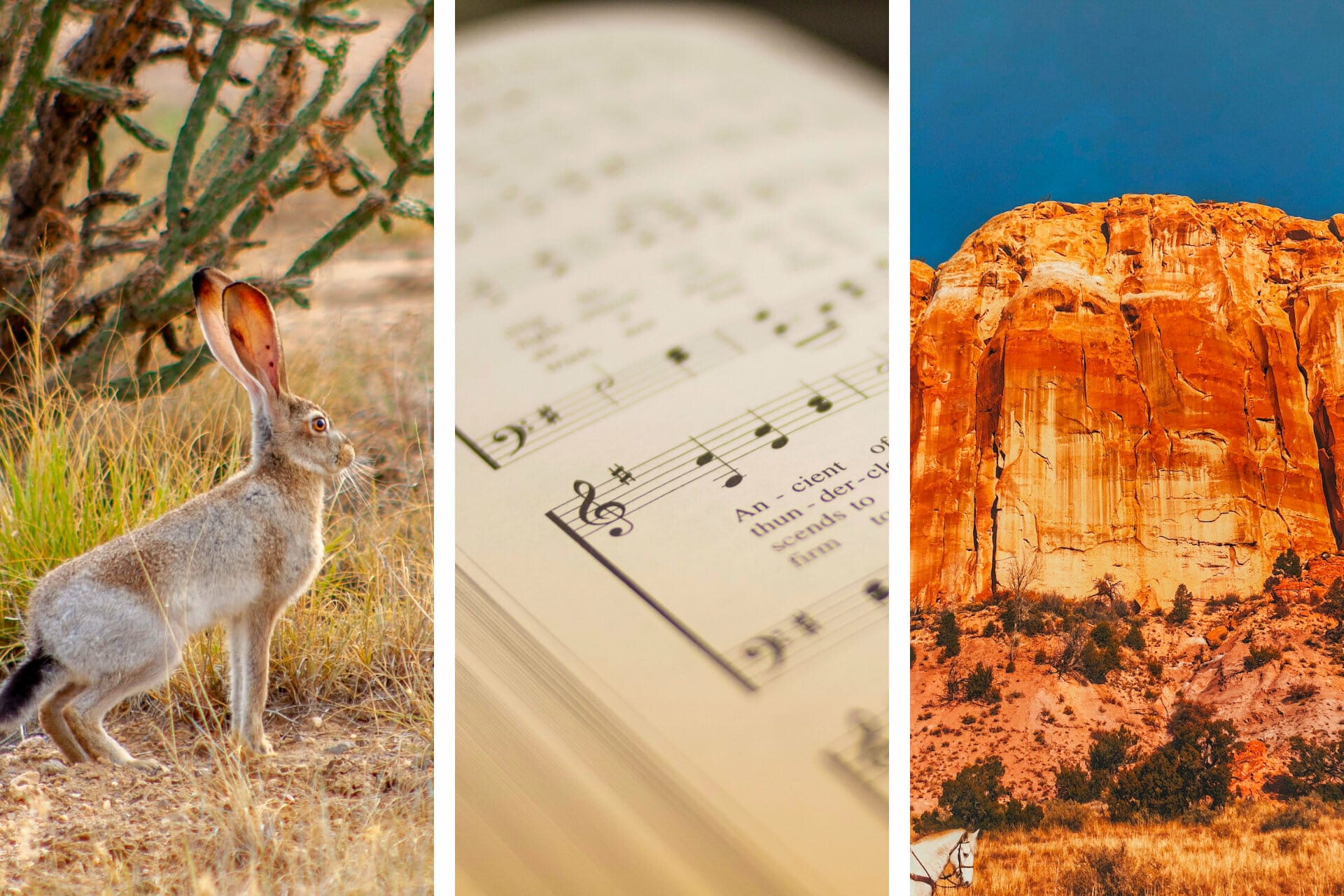 20+ Songs about New Mexico to Make You Feel at Home via @allamericanatlas