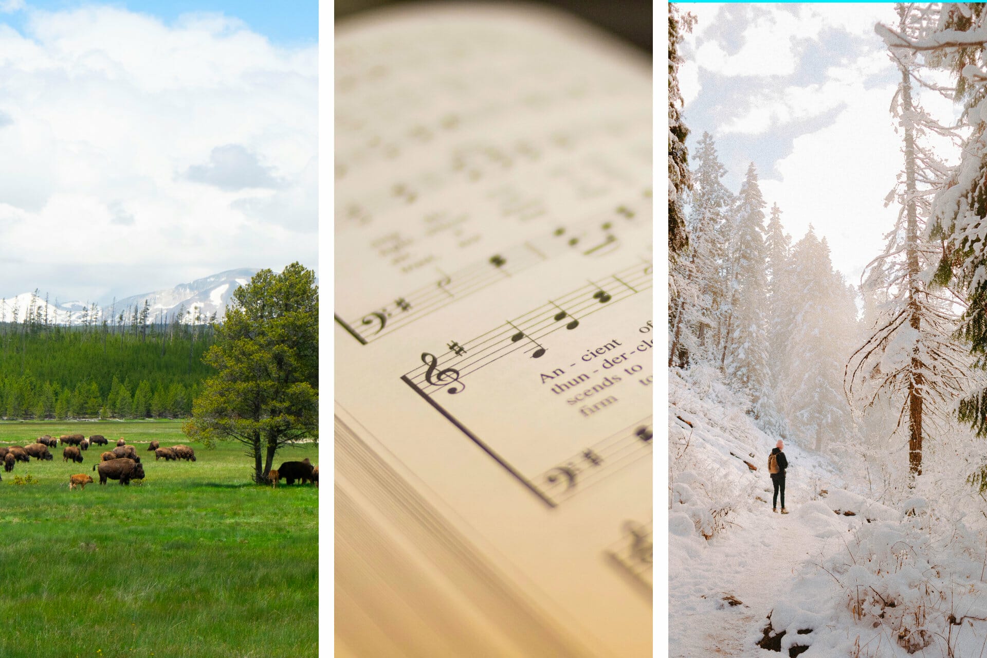 27+ Songs about Idaho (Funny + Uplifting) via @allamericanatlas