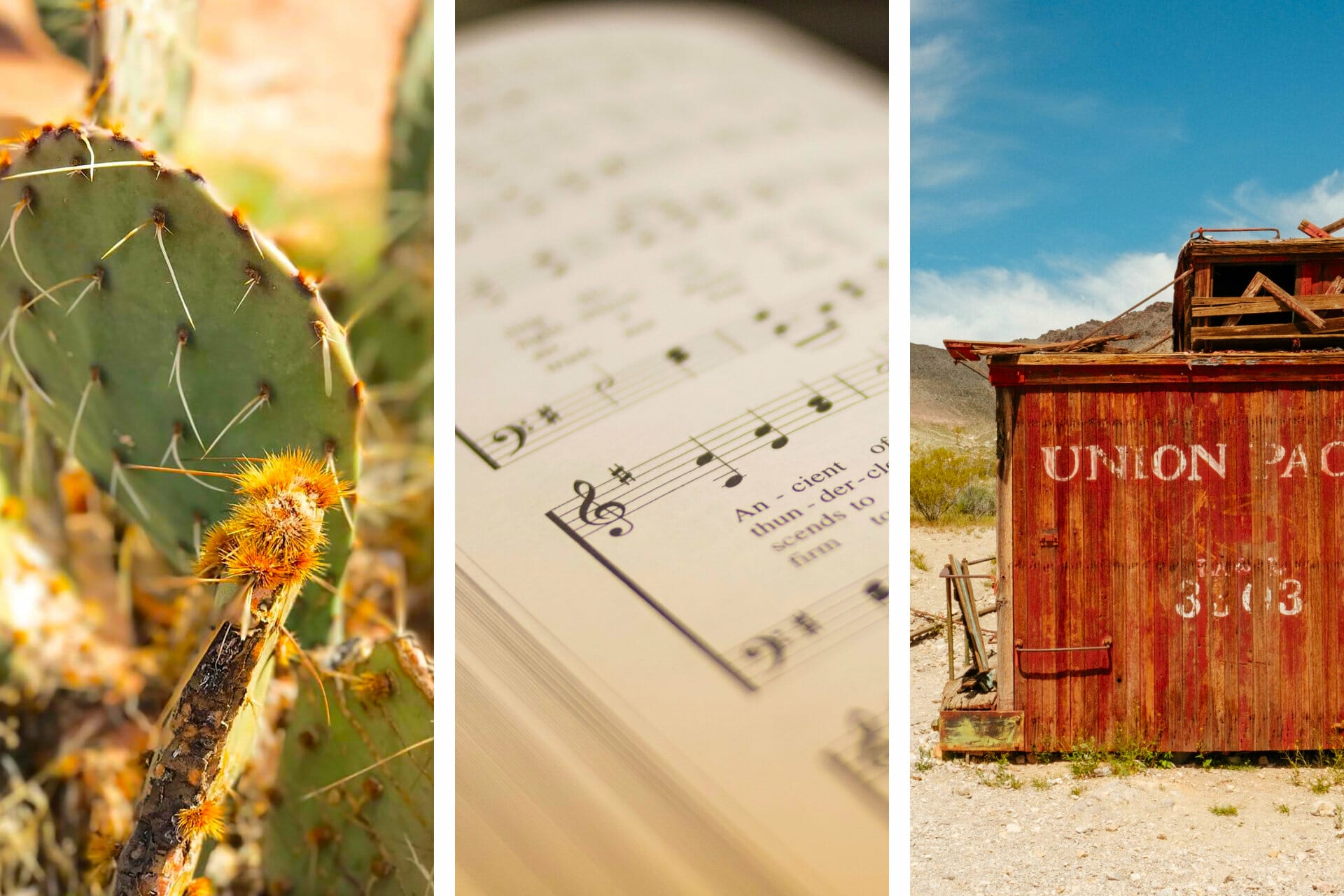 26+ Inspiring Songs about Nevada via @allamericanatlas