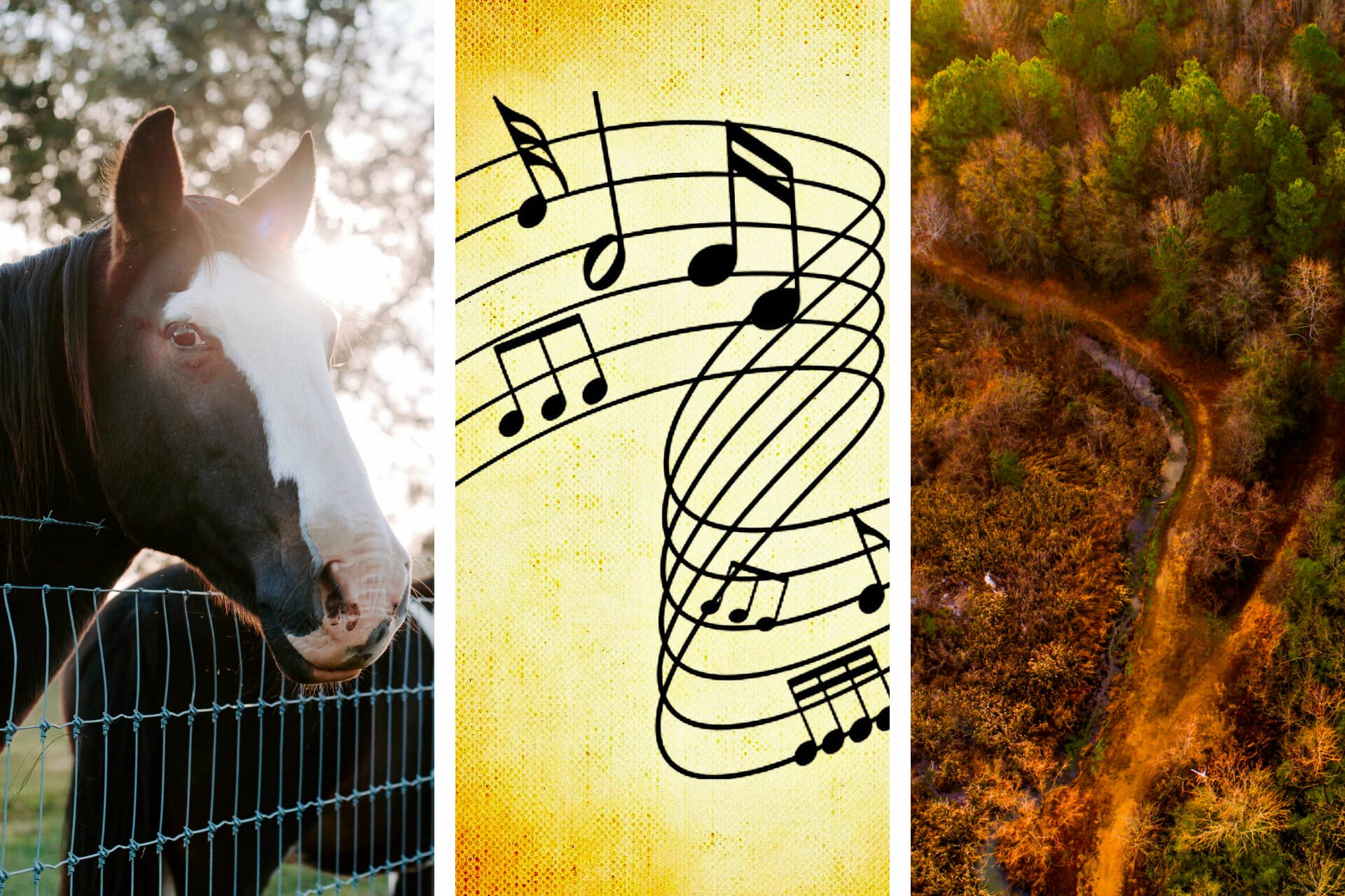 23+ Songs about Alabama to Inspire You via @allamericanatlas