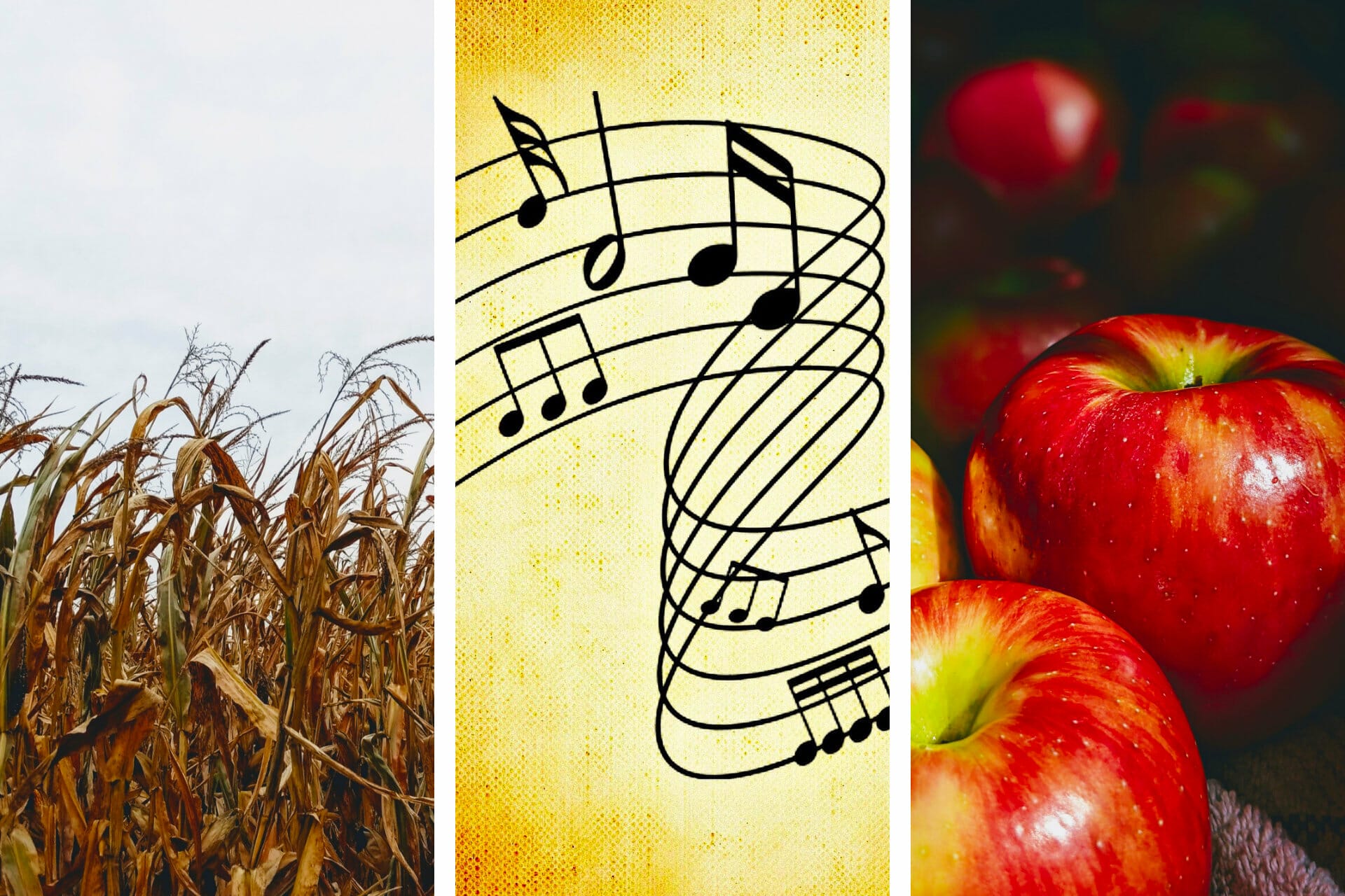 19+ Songs about Indiana (Iconic + Nostalgic) via @allamericanatlas