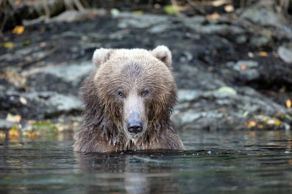 tourist cities alaska