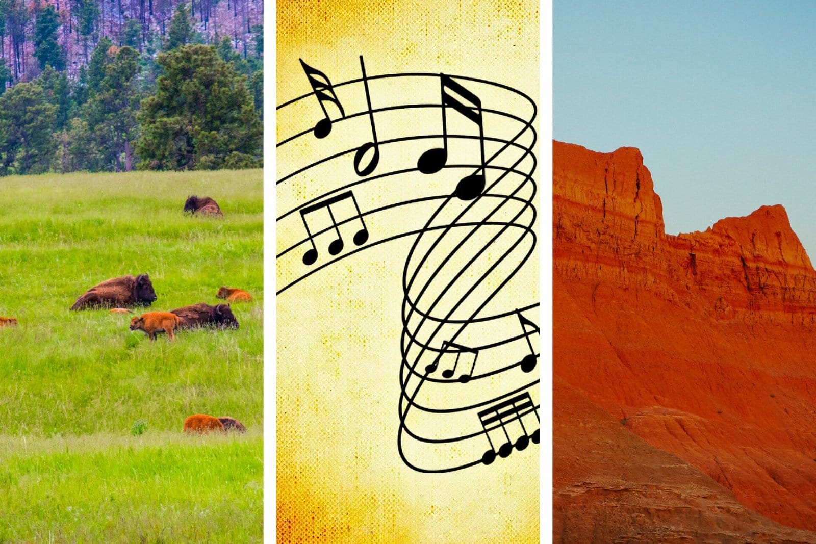 サウスダコタについての15曲以上の曲（象徴）