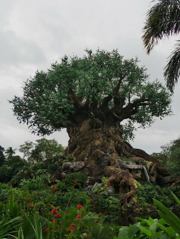 tree of life at animal kingdom