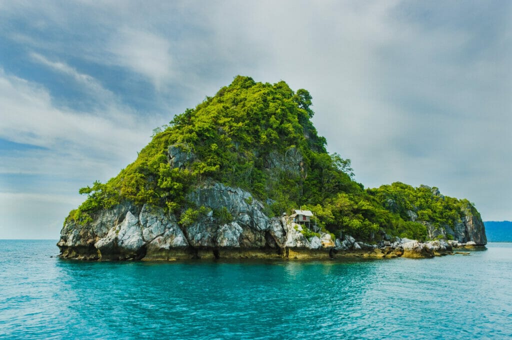 island with greenery on it