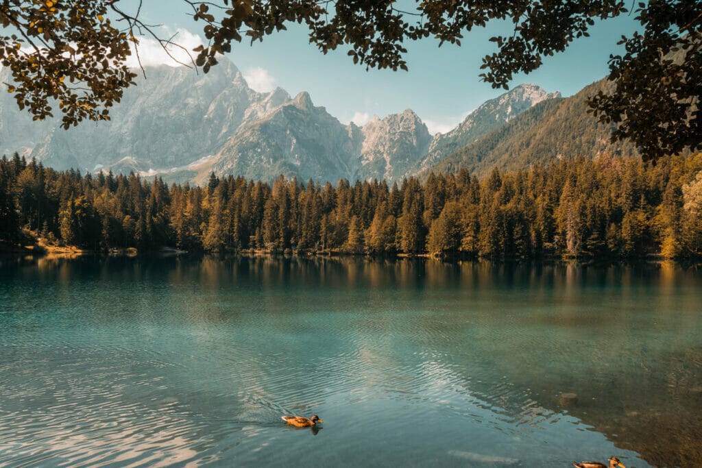 lake with trees and mountains
