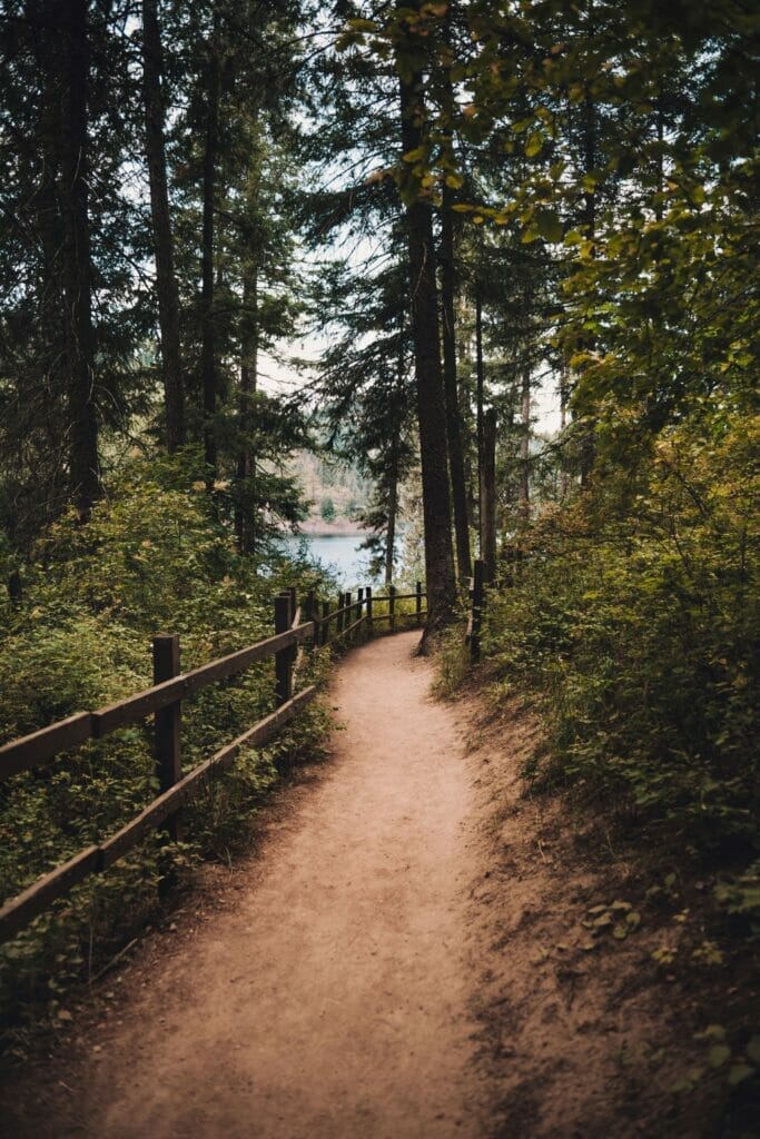 path with trees on the lewis and clark trail