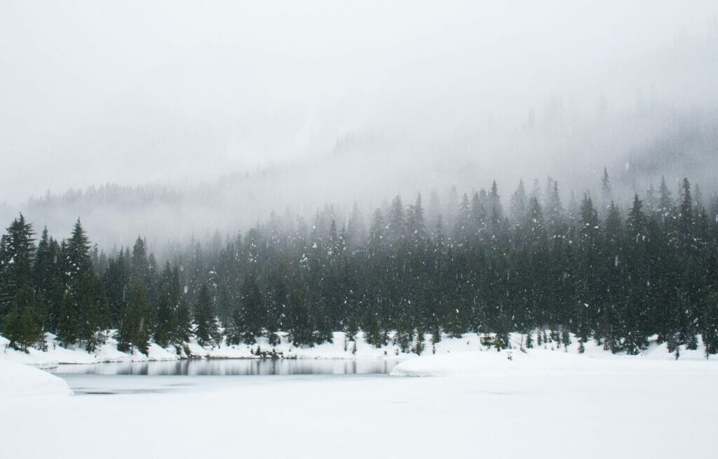 snowy landscape with a lake and trees