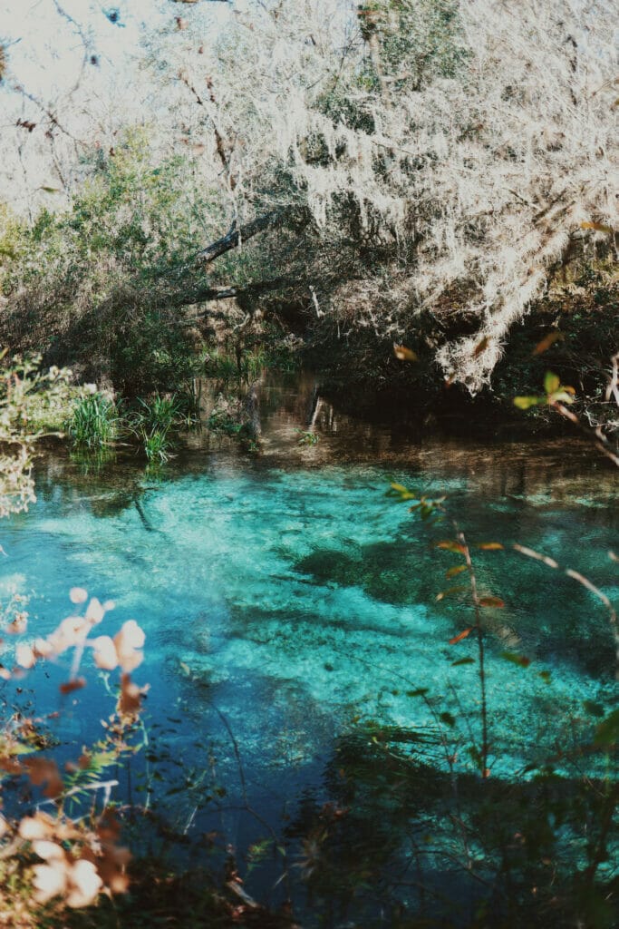 blue springs in florida