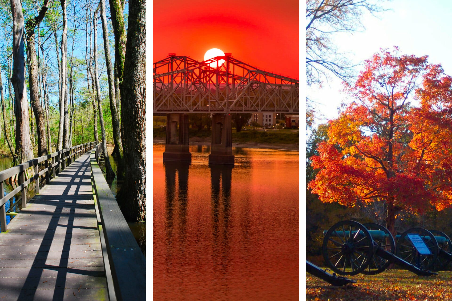 9 Mississippi National Parks: Insider Tips + Guides via @allamericanatlas