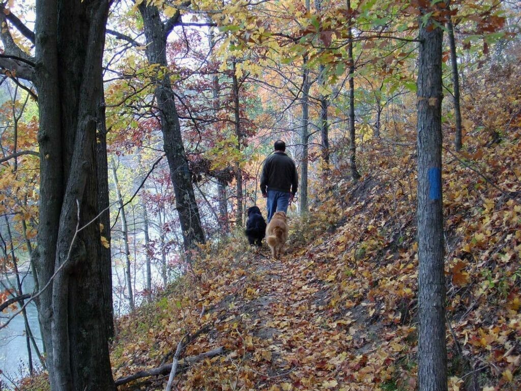 man walking downs in NCTS