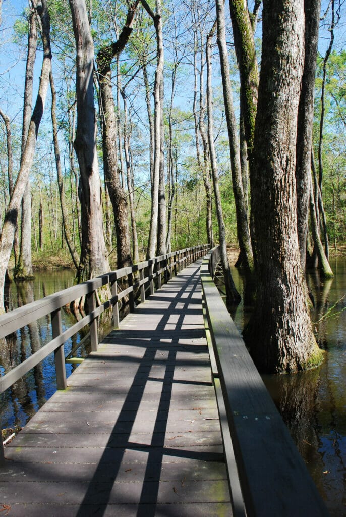 natchez trace