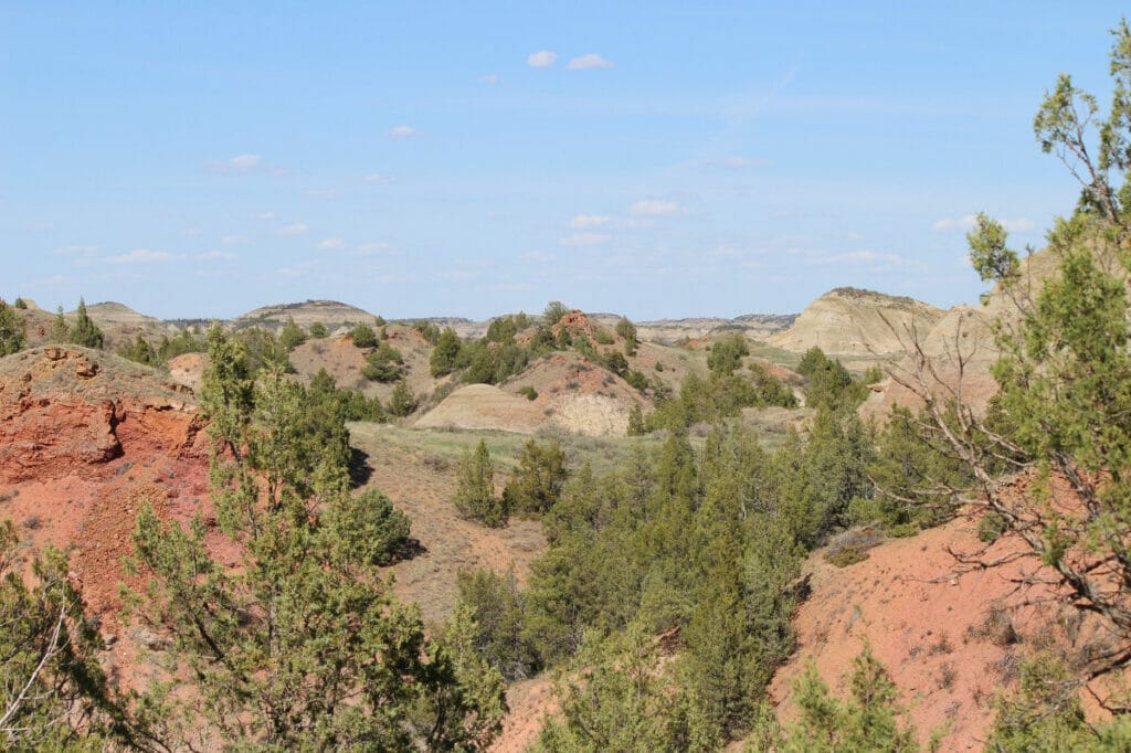 theodore roosevelt national park