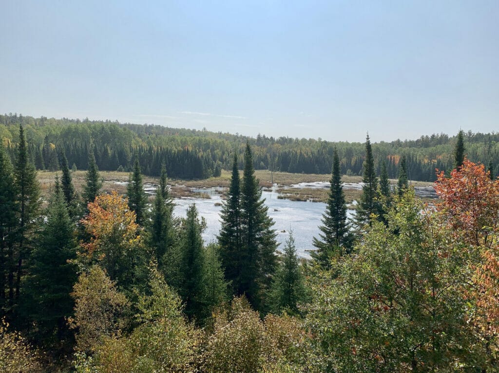 landscape in Voyageurs park