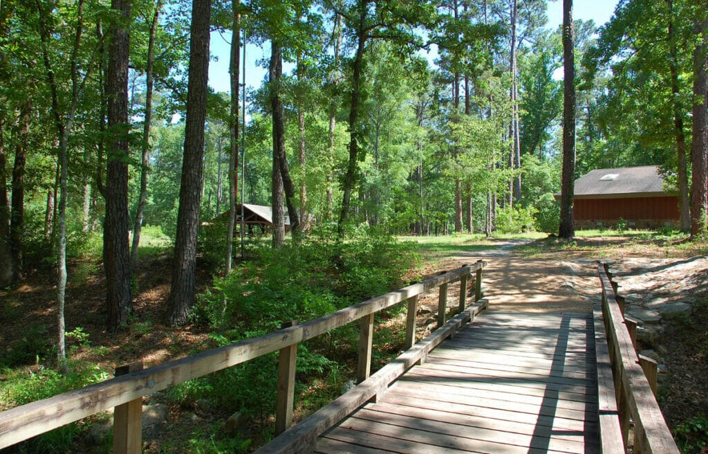 Angelina National Forest