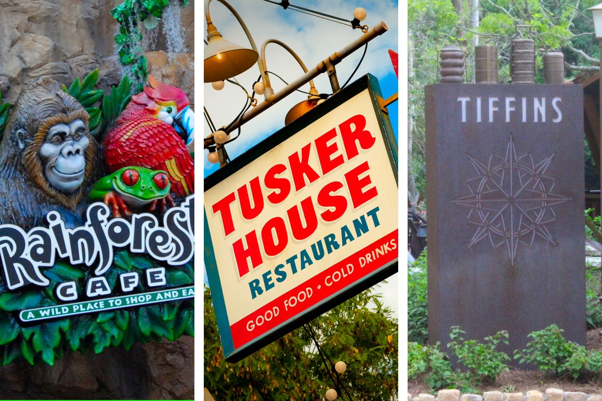 4 Best Animal Kingdom Restaurants (ranked honestly) - All-American Atlas 4 Best Animal Kingdom Restaurants (ranked honestly) - All-American Atlas