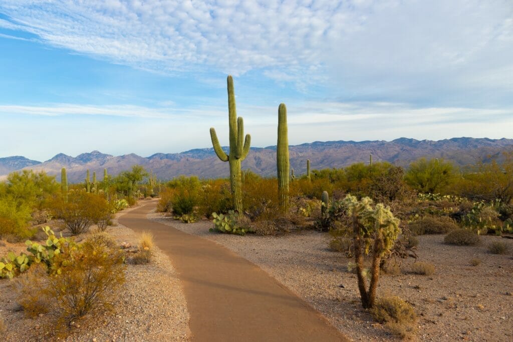 Arizona