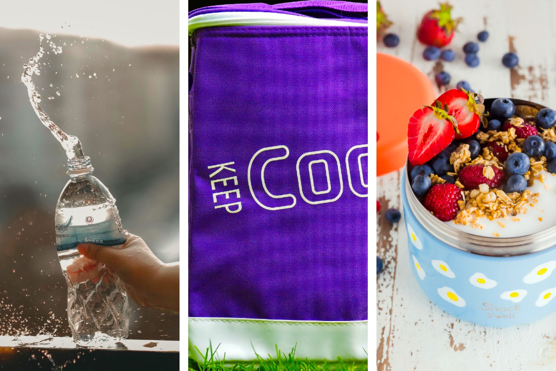 7+ Best Coolers for Disney World (recommended by a local) via @allamericanatlas